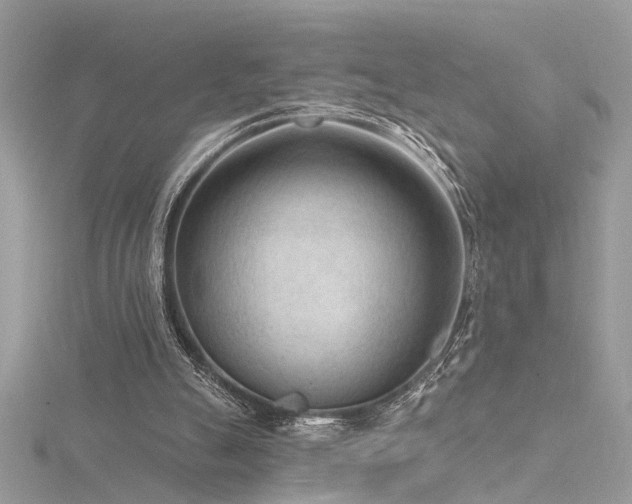 X0000116340055200912011358