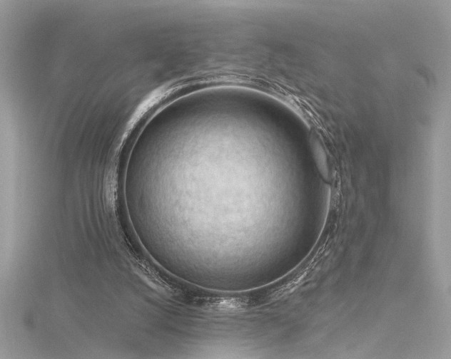 X0000116340056200912011358