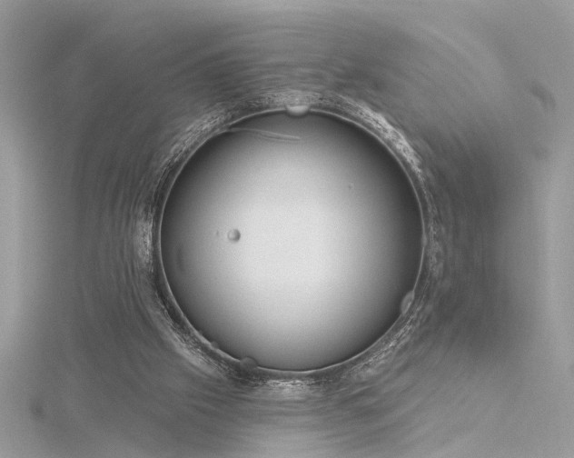 X0000116340057200912011358