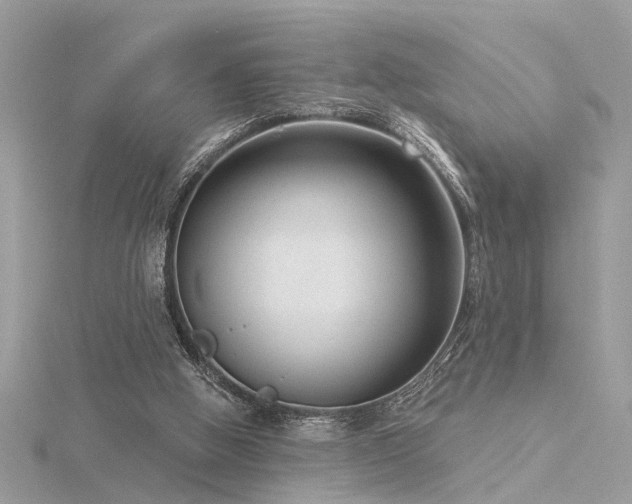 X0000116340058200912011358