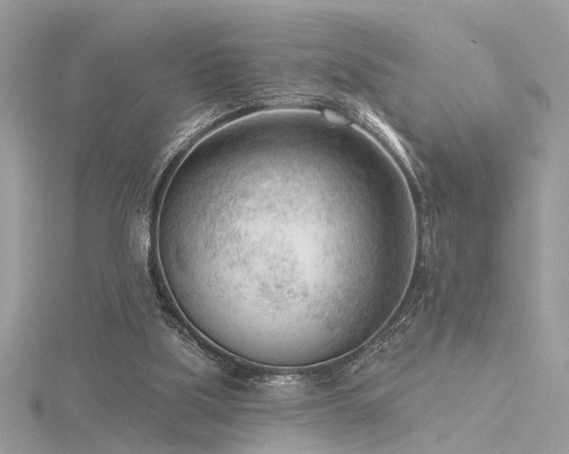 X0000116340059200912011358