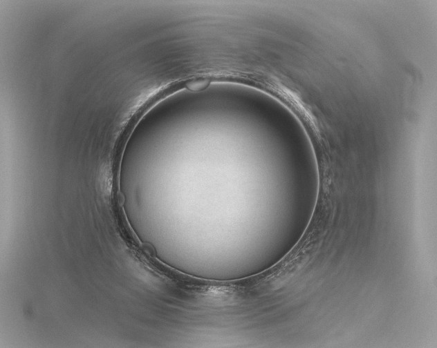 X0000116340060200912011358