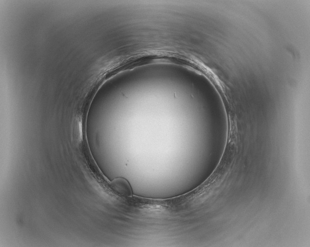 X0000116340061200912011358