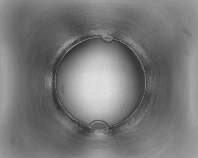 X0000116340064200912011358