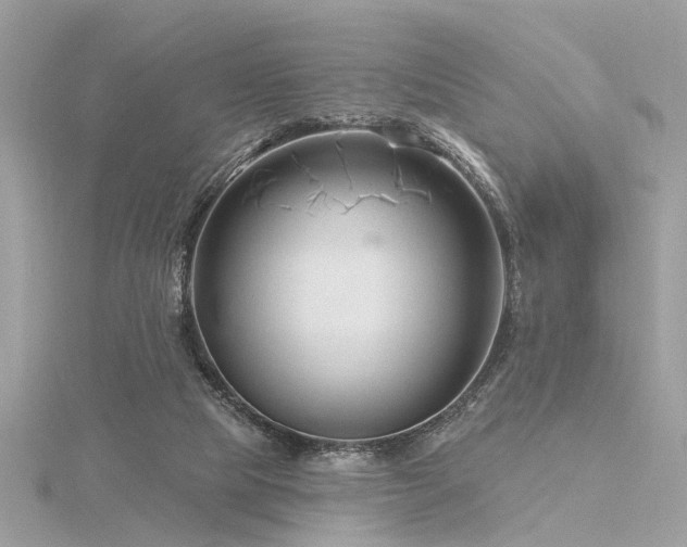 X0000116340065200912011358