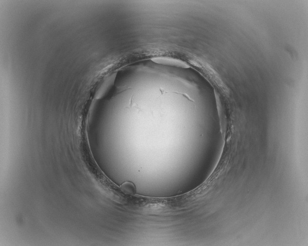 X0000116340066200912011358