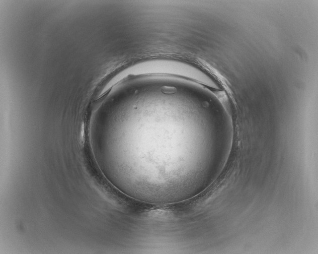 X0000116340067200912011358