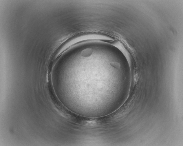 X0000116340068200912011358