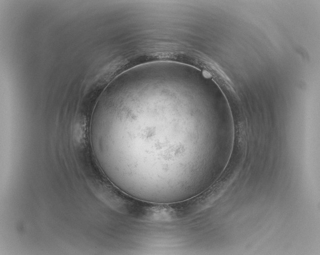 X0000116340073200912011358