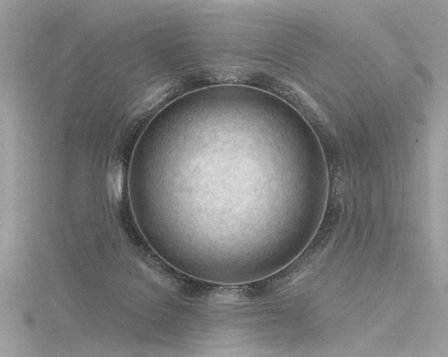 X0000116340076200912011358