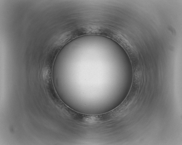 X0000116340079200912011358