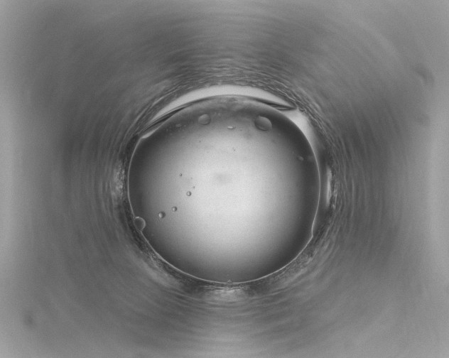 X0000116340081200912011358