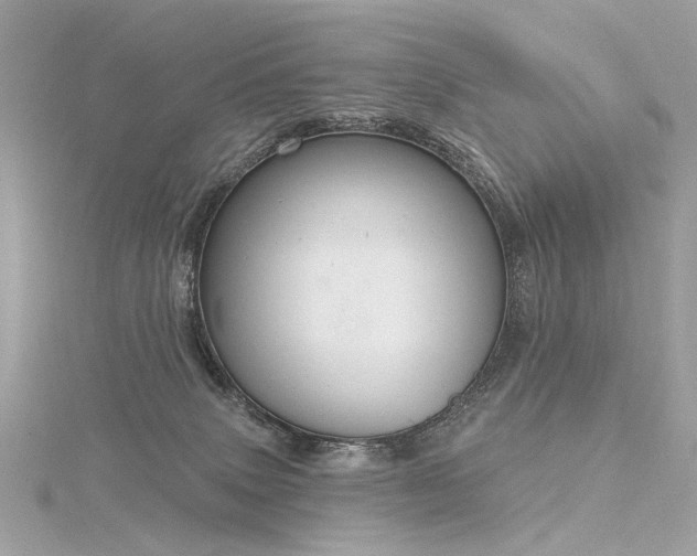 X0000116340083200912011358