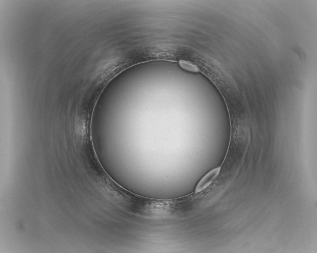 X0000116340084200912011358