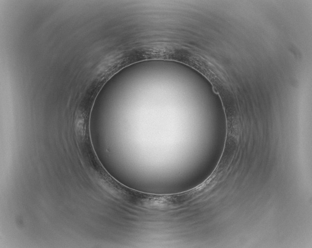 X0000116340086200912011358