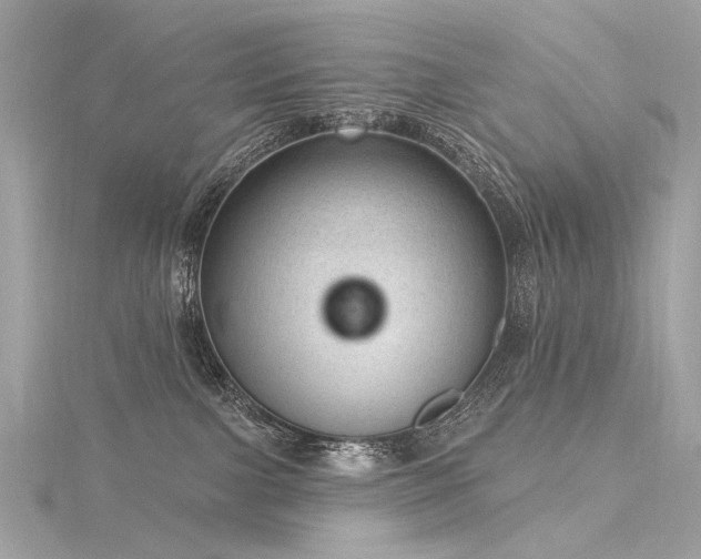 X0000116340091200912011359