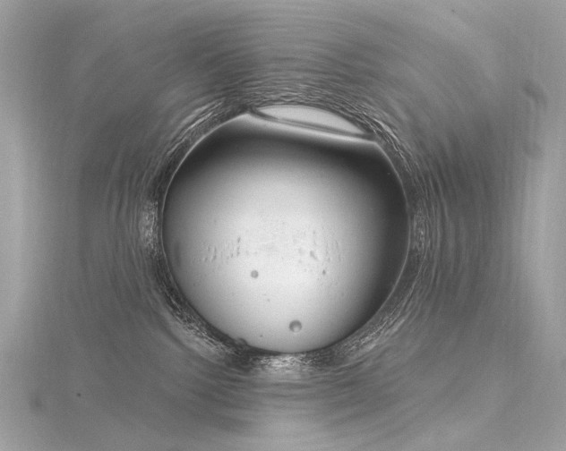 X0000116340092200912011359