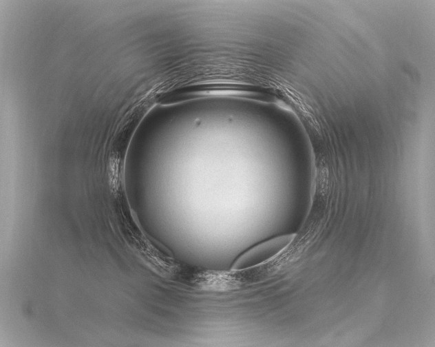 X0000116340093200912011359