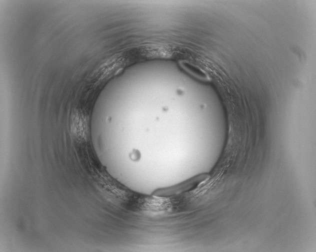 X0000116340096200912011359