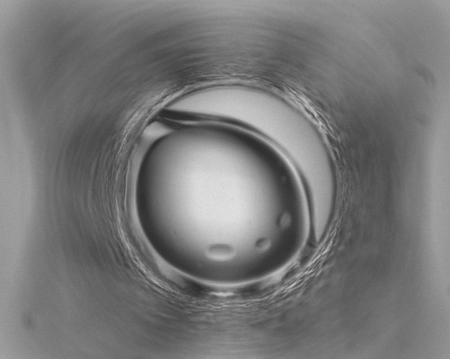 X0000116340097200912011358