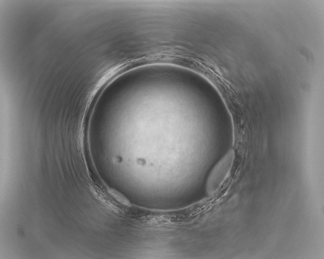 X0000116340100200912011358