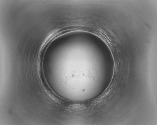 X0000116340101200912011358