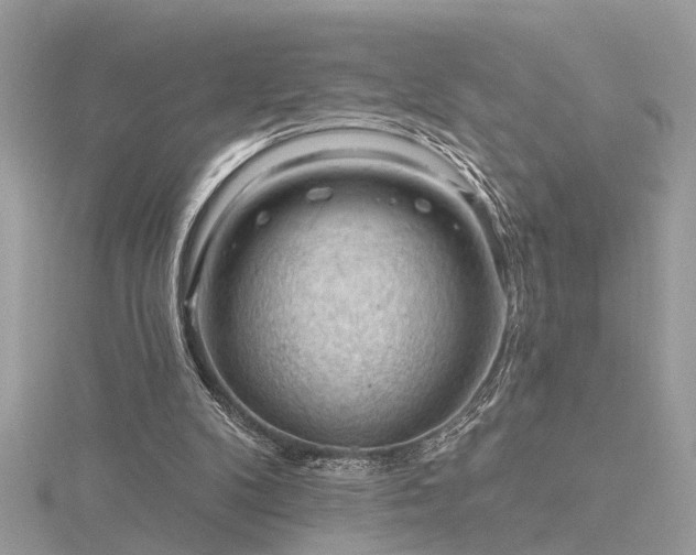 X0000116340104200912011358