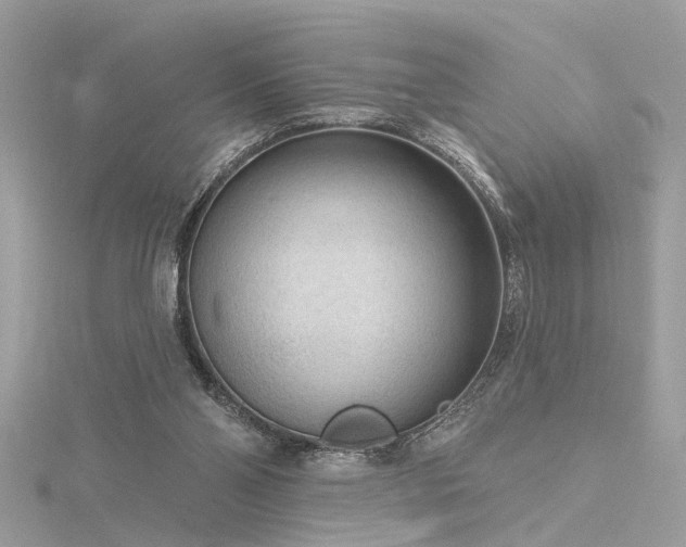 X0000116340110200912011358