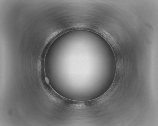 X0000116340112200912011358