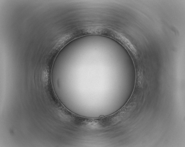 X0000116340113200912011358