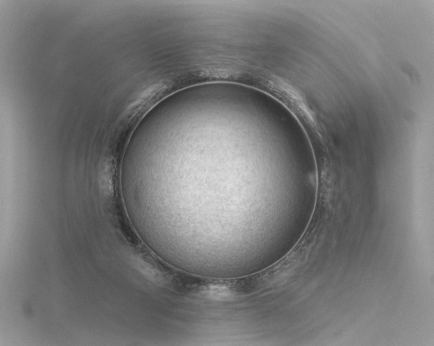 X0000116340114200912011358