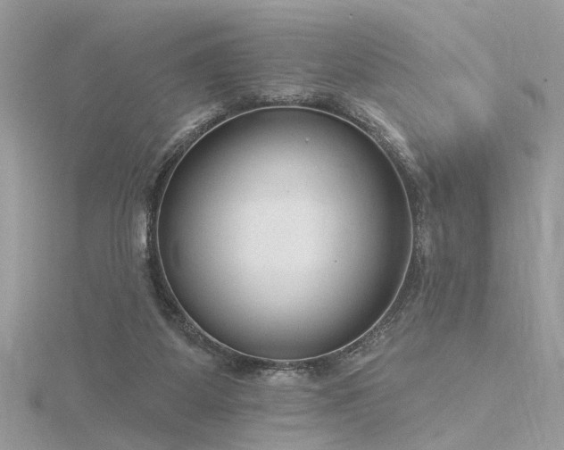 X0000116340115200912011358