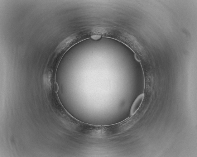 X0000116340116200912011358