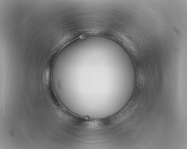 X0000116340118200912011358