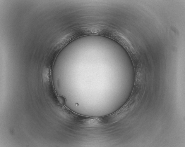 X0000116340122200912011358