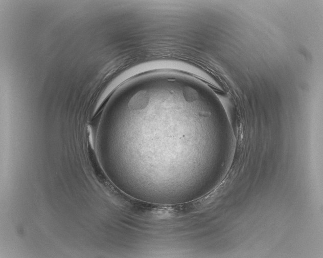 X0000116340124200912011358