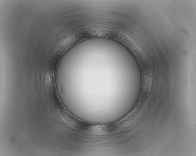 X0000116340126200912011358