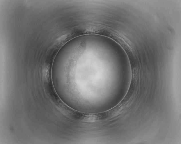 X0000116340127200912011358