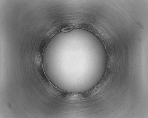 X0000116340129200912011358