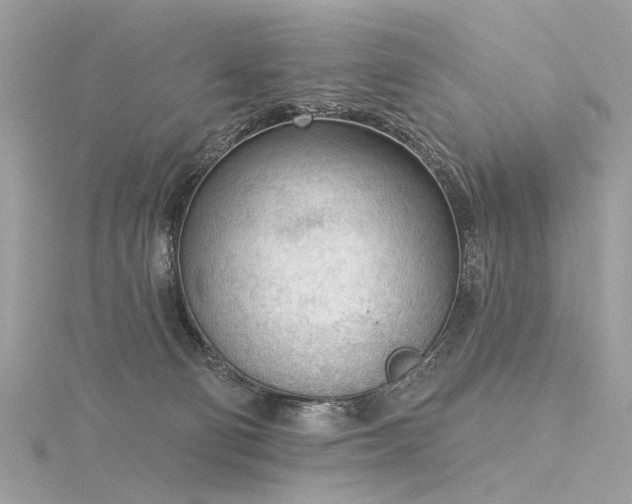 X0000116340130200912011358