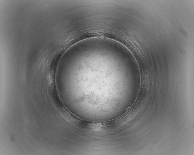 X0000116340131200912011358