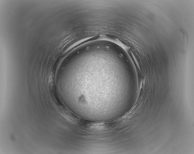 X0000116340132200912011358