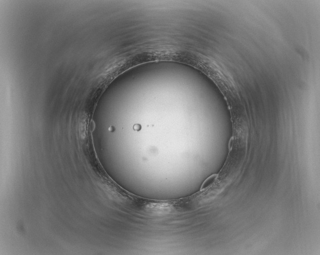 X0000116340133200912011358