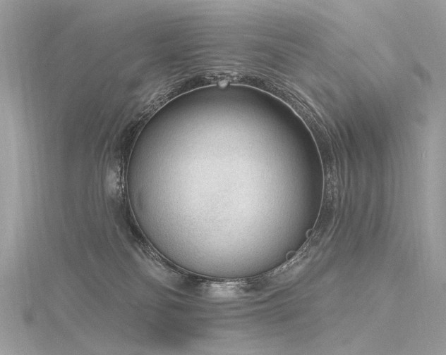 X0000116340134200912011358