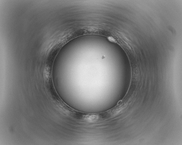 X0000116340135200912011357