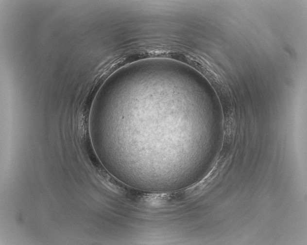 X0000116340136200912011357