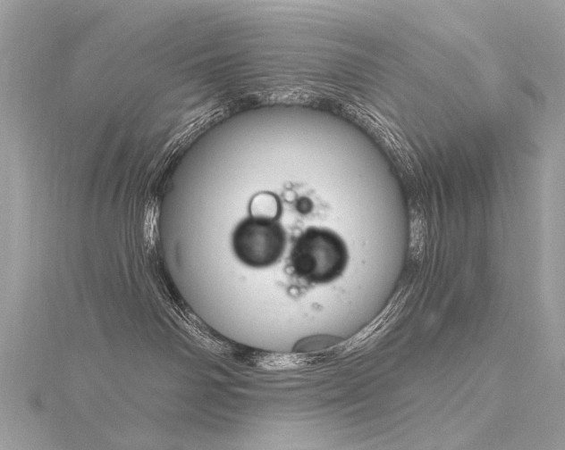 X0000116340142200912011357