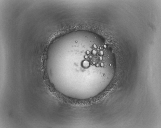 X0000116340144200912011357