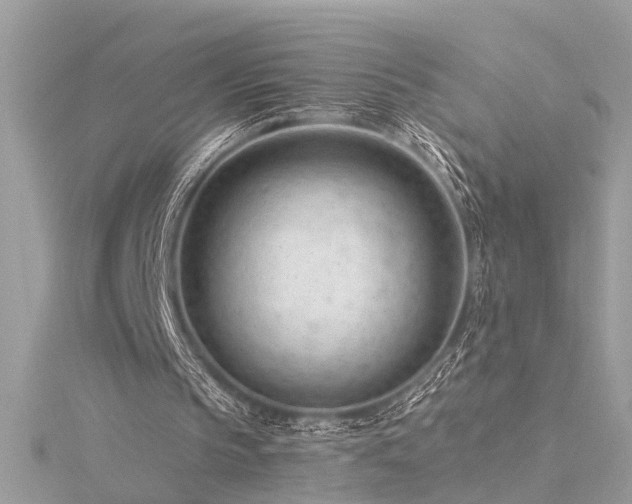 X0000116340145200912011357