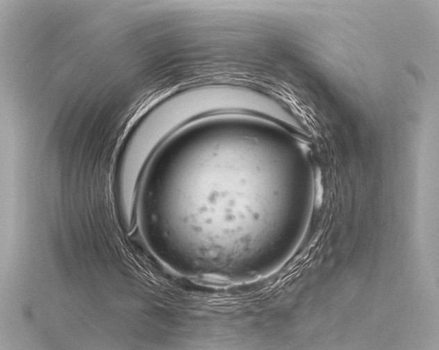 X0000116340146200912011357